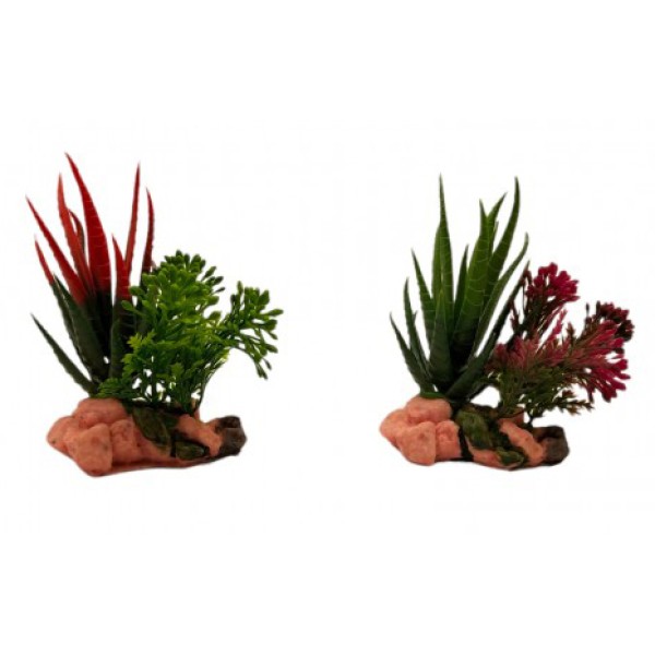 ΔΙΑΚΟΣΜΗΤΙΚΟ ΦΥΤΟ ΕΝΥΔΡΕΙΟΥ 7.5Χ12CM